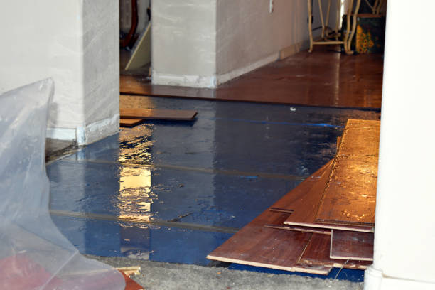 Professional Water Damage Restoration technician working in Durham, OR